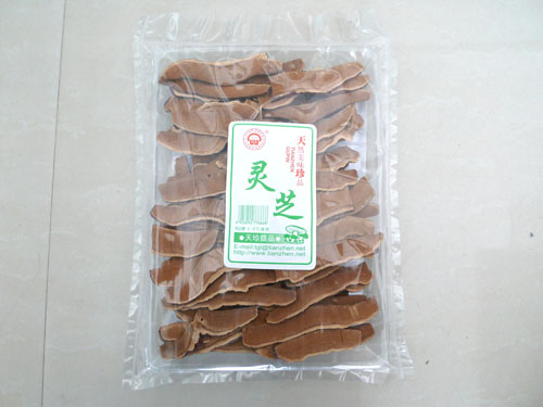 灵芝
